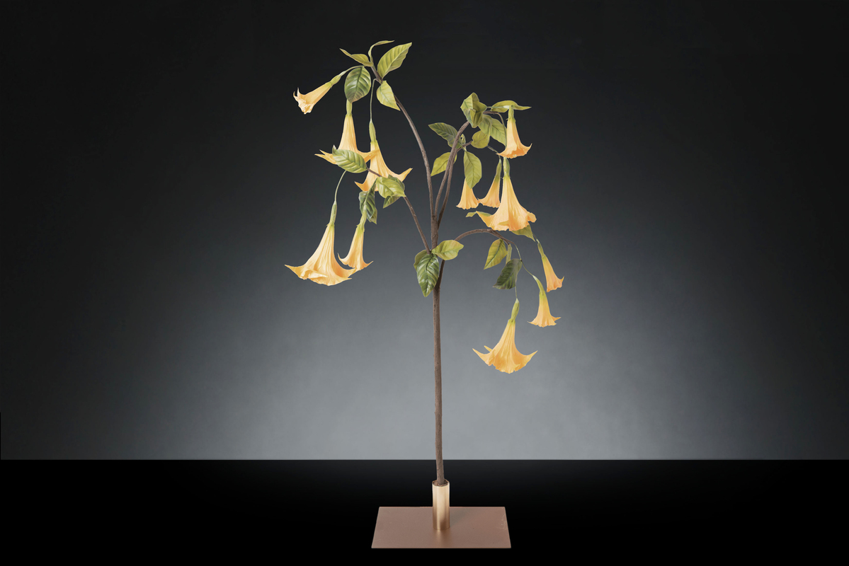 1700222164-1142948.37 DATURA TREE_1LOW